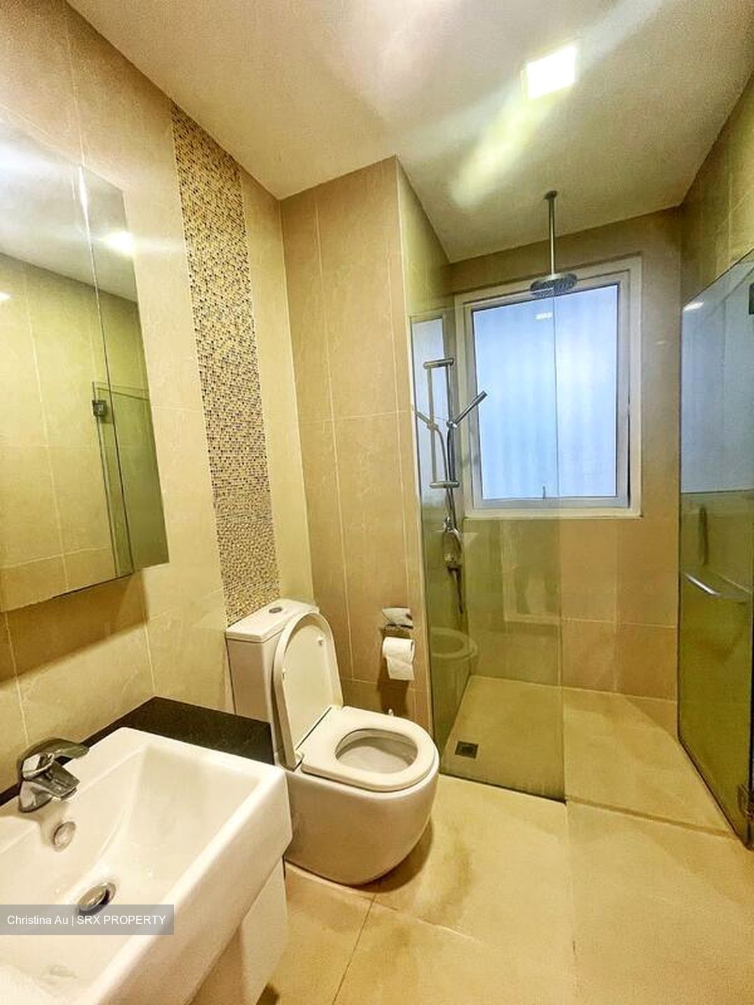 8 Bassein (D11), Apartment #469214511